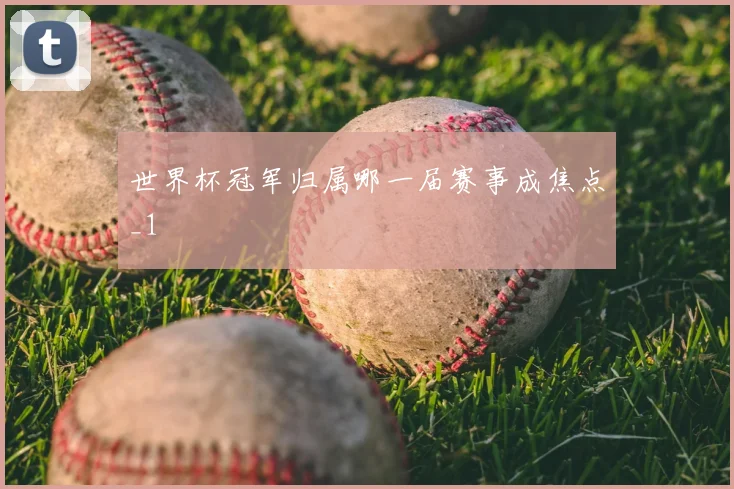 世界杯冠军归属哪一届赛事成焦点_1