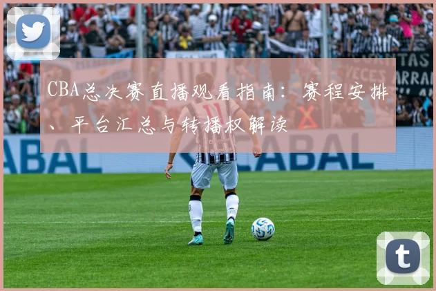 CBA总决赛直播观看指南：赛程安排、平台汇总与转播权解读