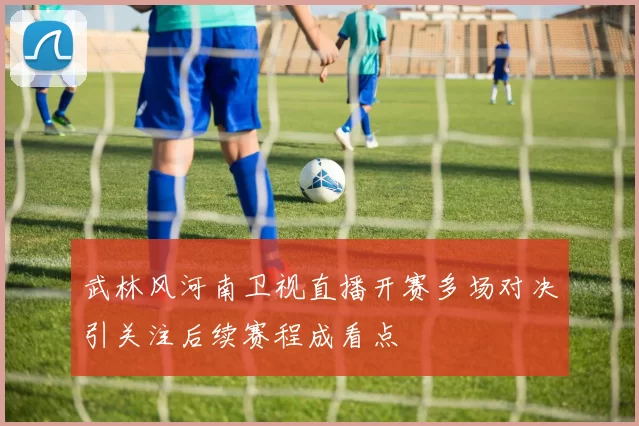 武林风河南卫视直播开赛多场对决引关注后续赛程成看点