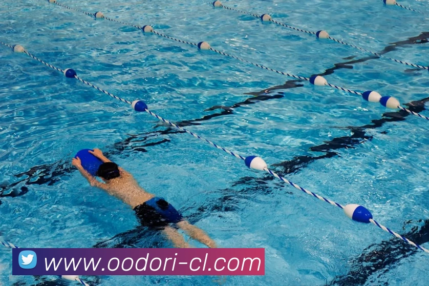 App Interface Preview