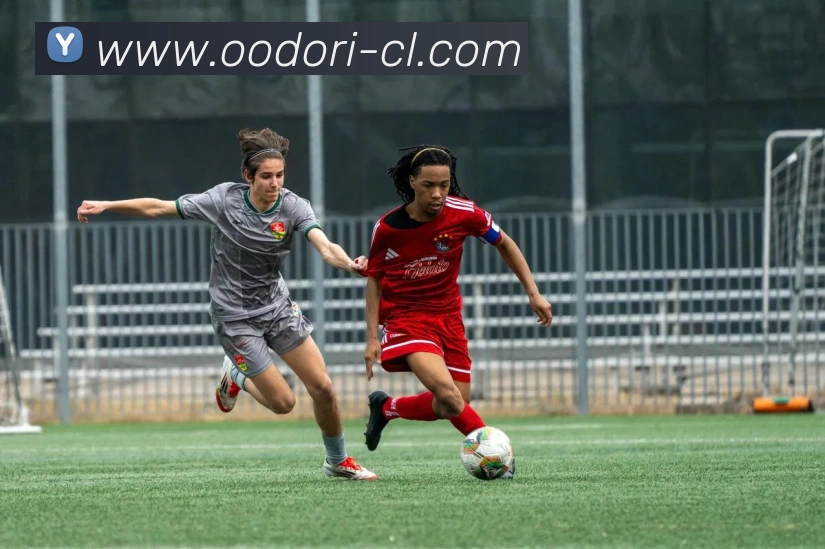 奖项2